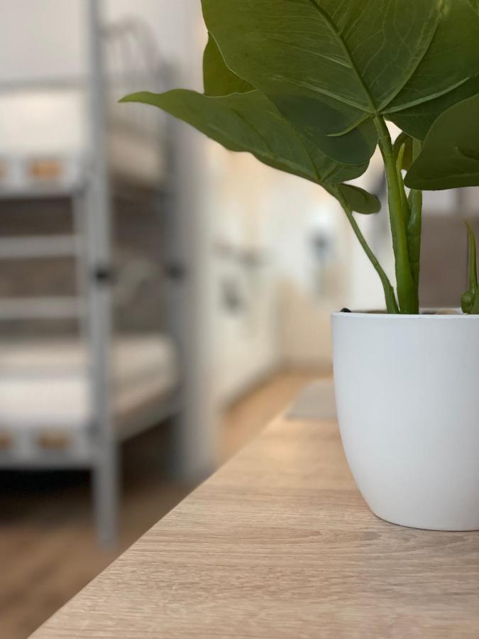 Flatprovider Hp Apartment เวียนนา ภายนอก รูปภาพ